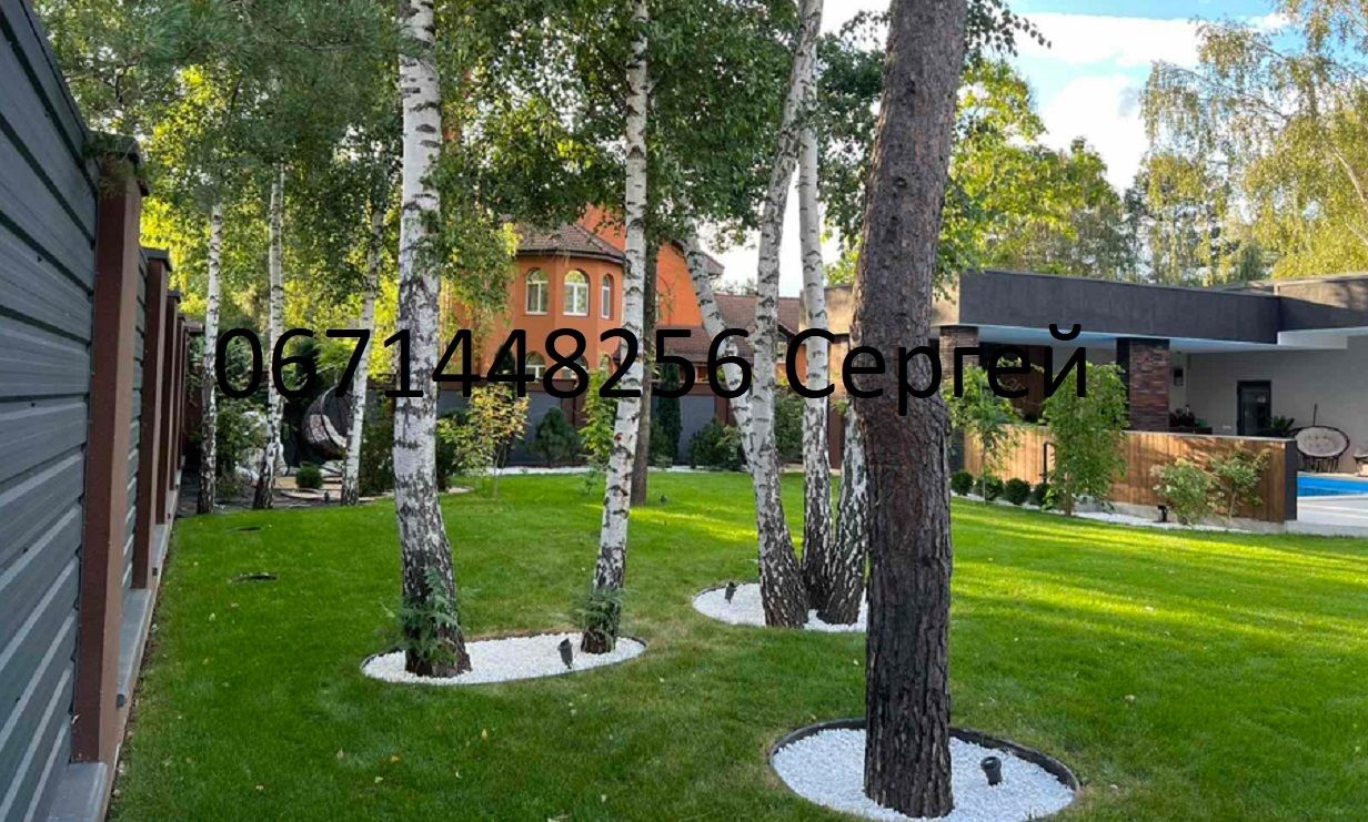 1757731356882582
