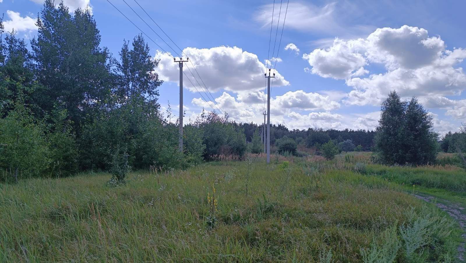 1834448691076585