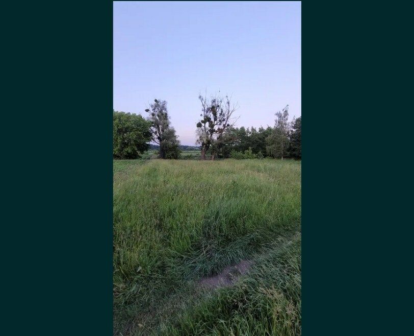 1835108231436059