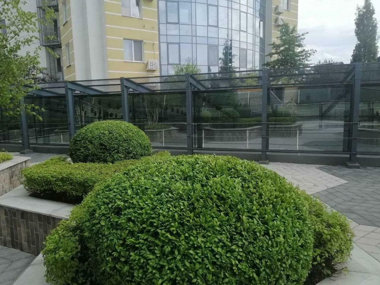1831176976249597