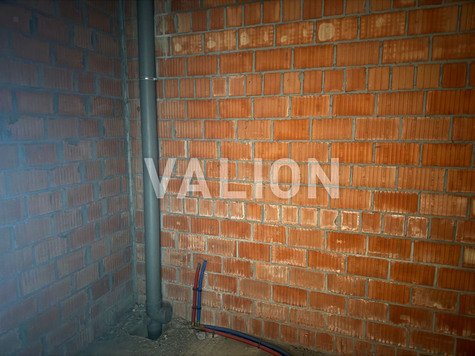 1830647275678599