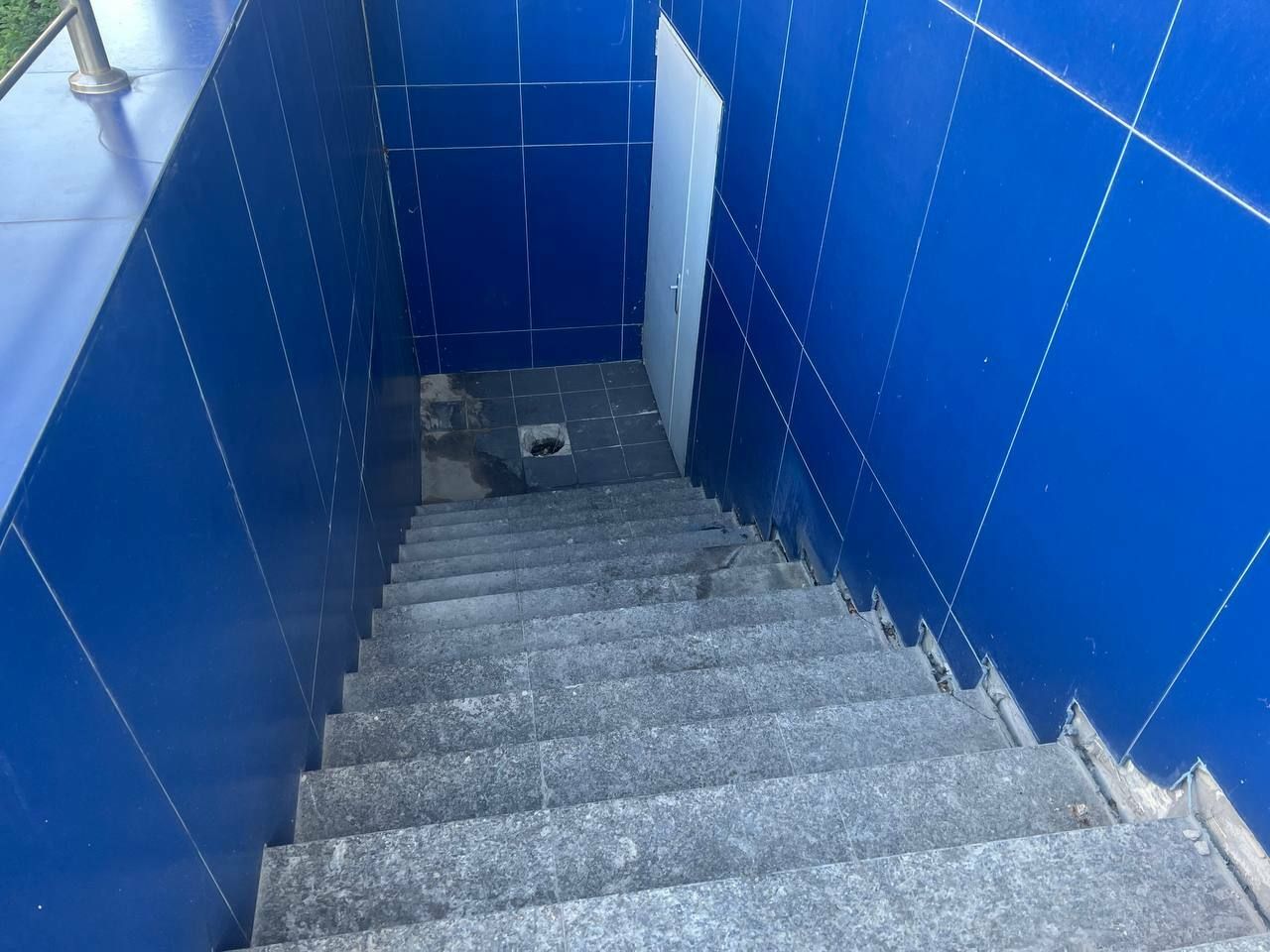 1810177229151006