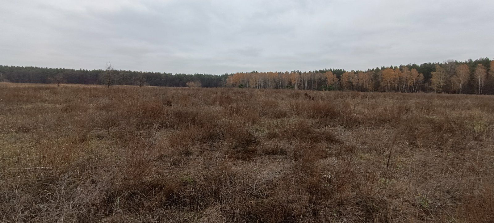 1824295891823604
