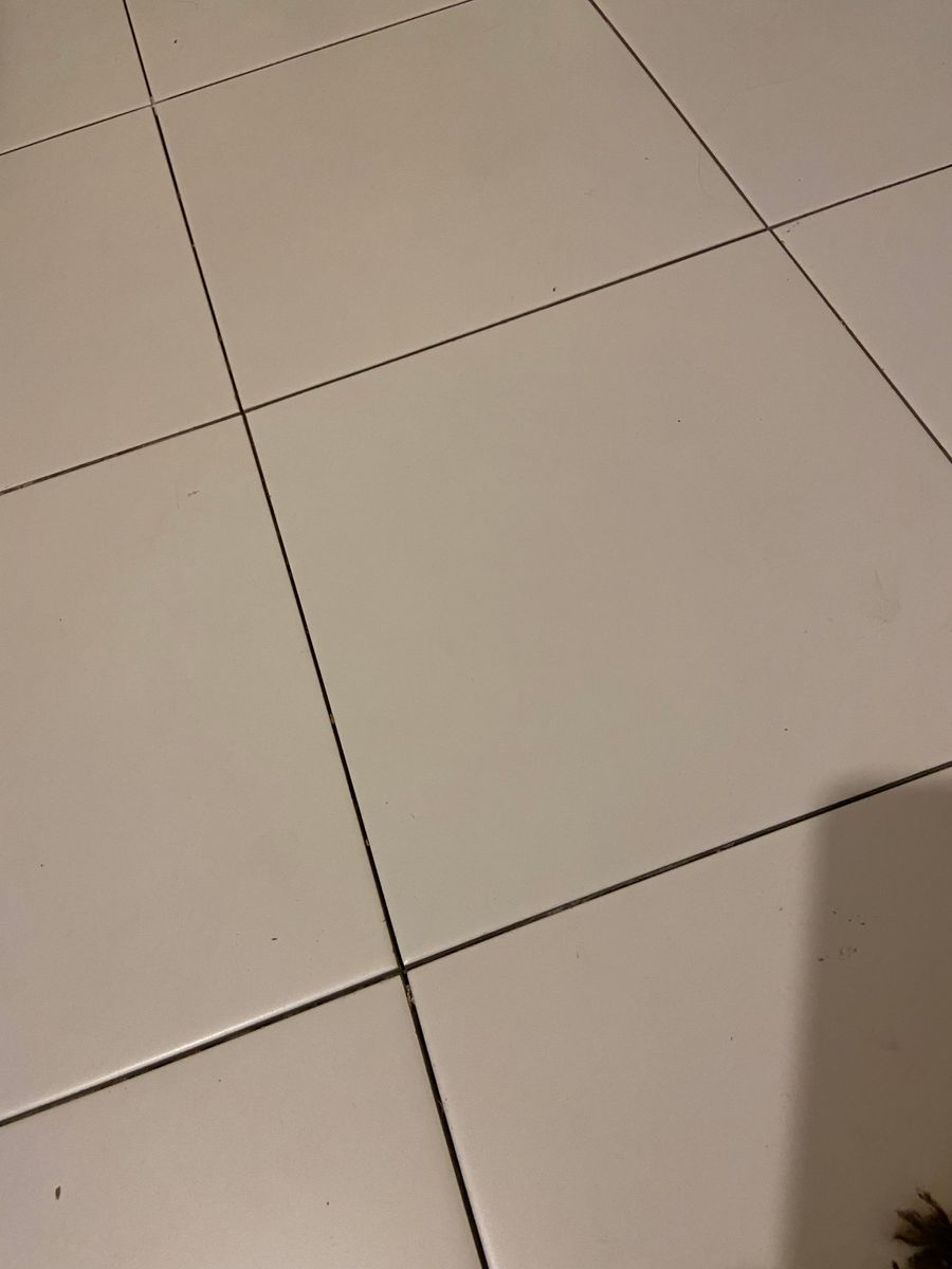 1705174876419605