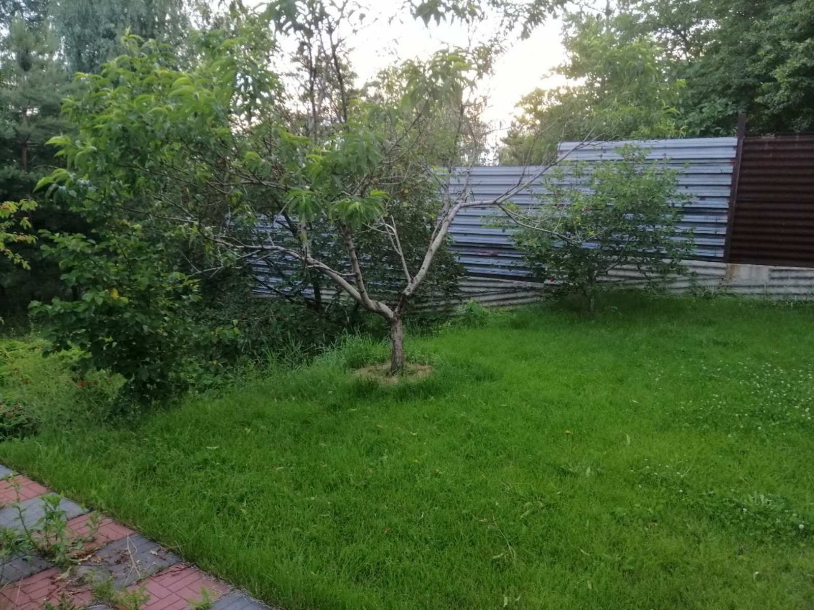1819785597981607