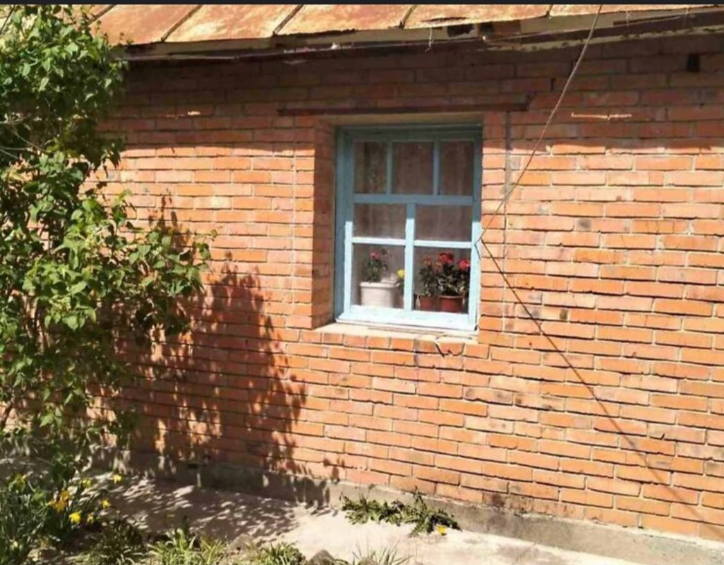 1837881620887613