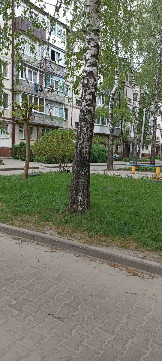 1831990174375616