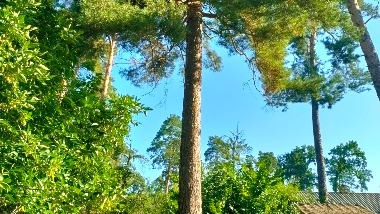 1840268452925620