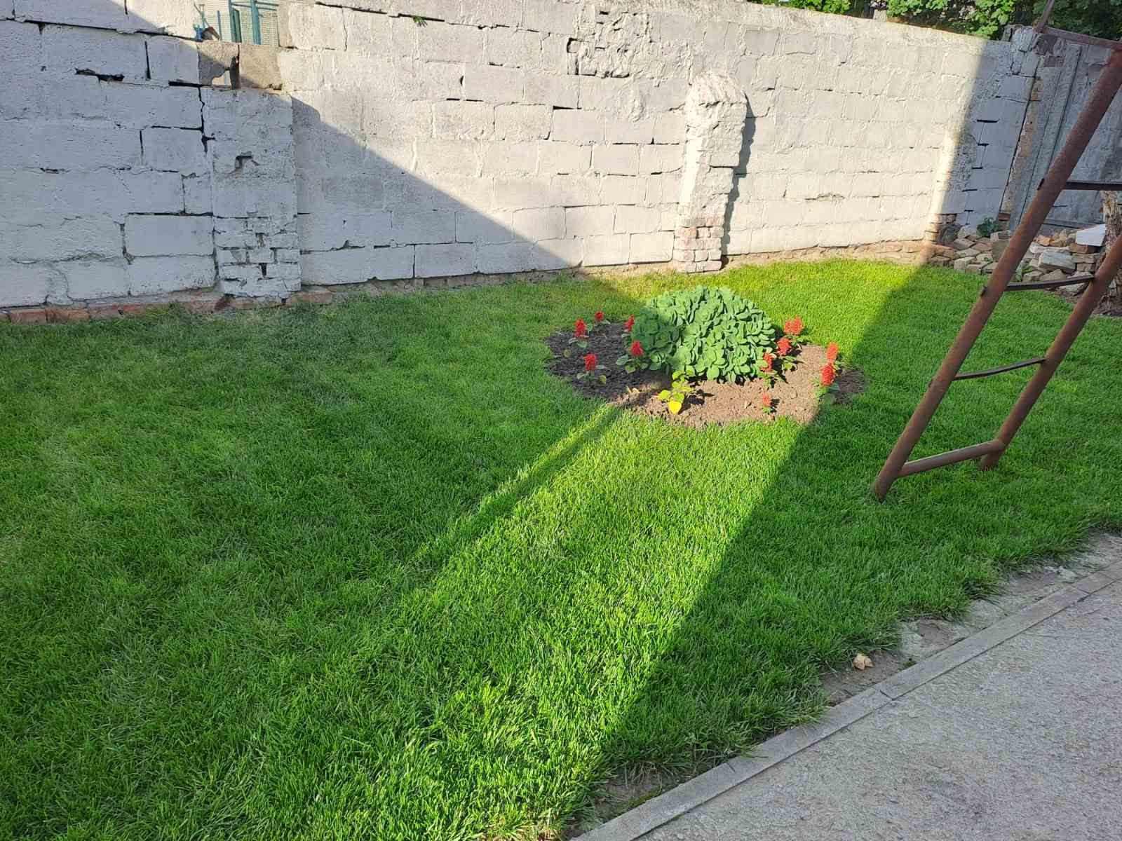 1833717619722626