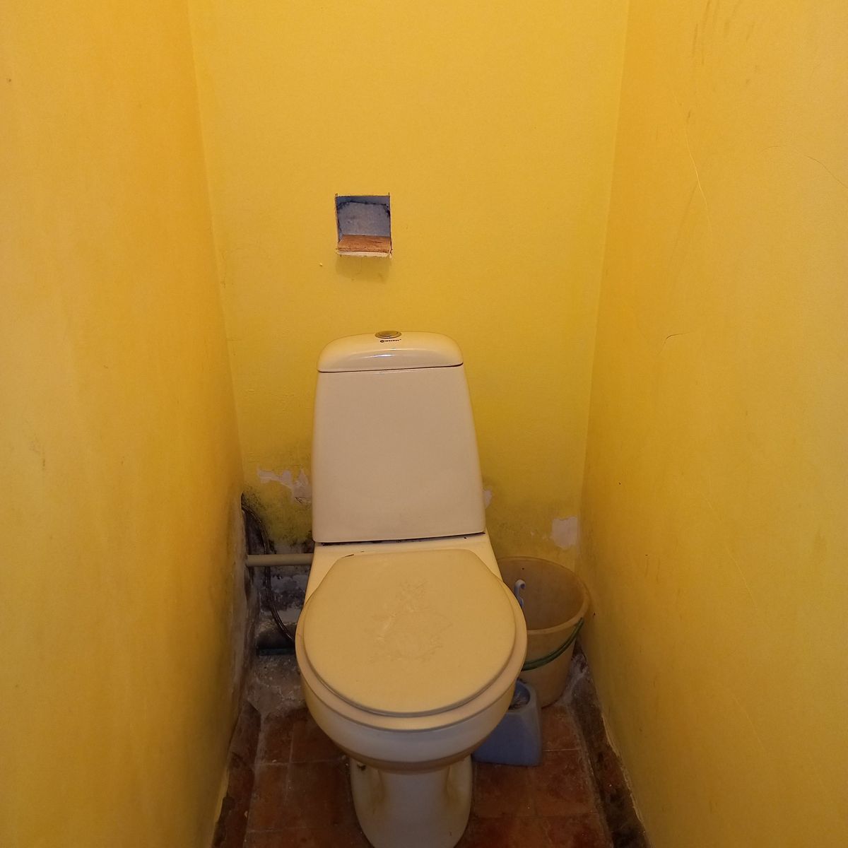 1831633754435629