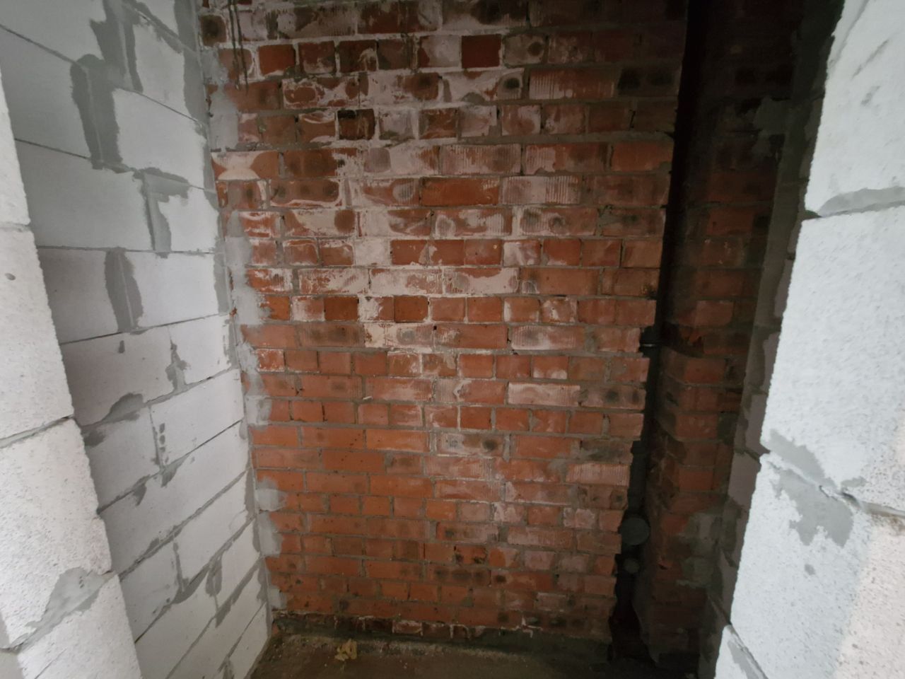 1837086465267629