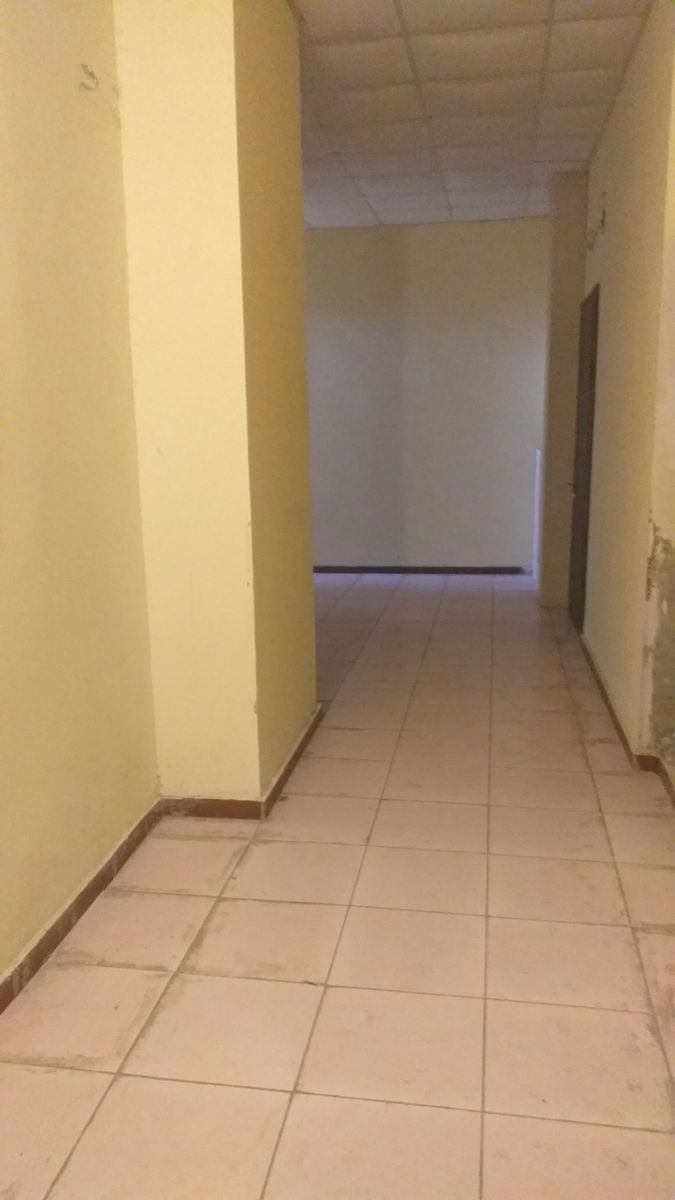 1833913042376630