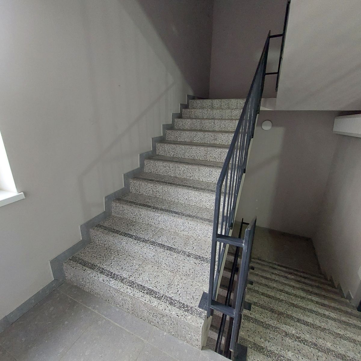 1833452574987631