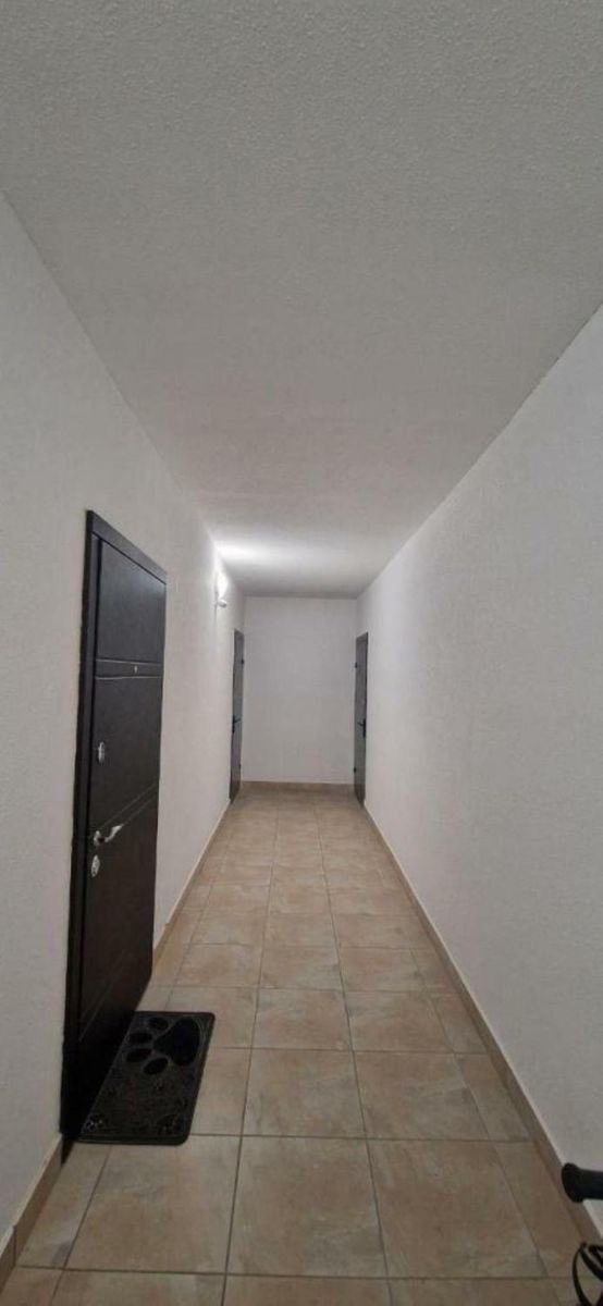1834627246822631