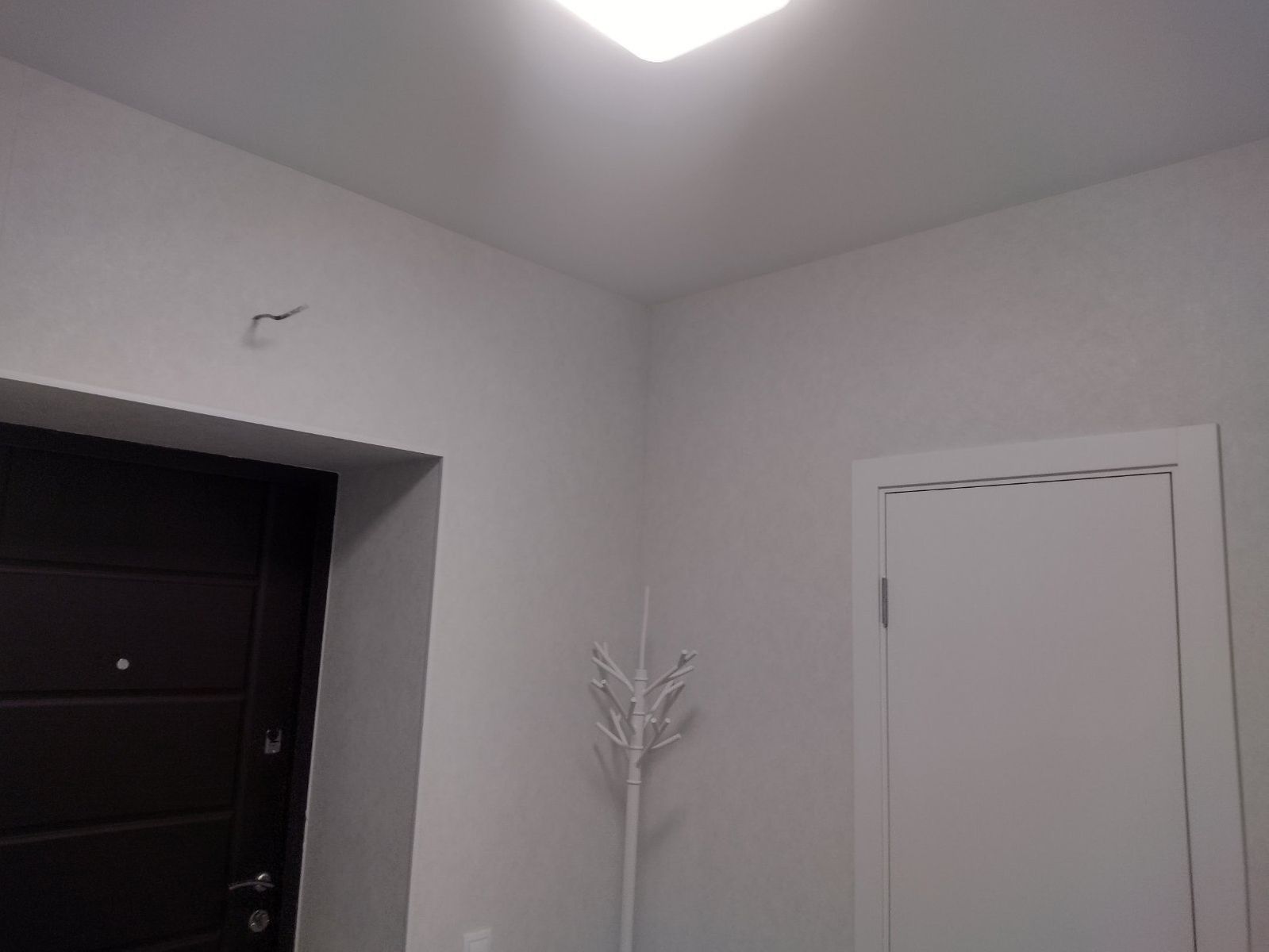 1832531791987633