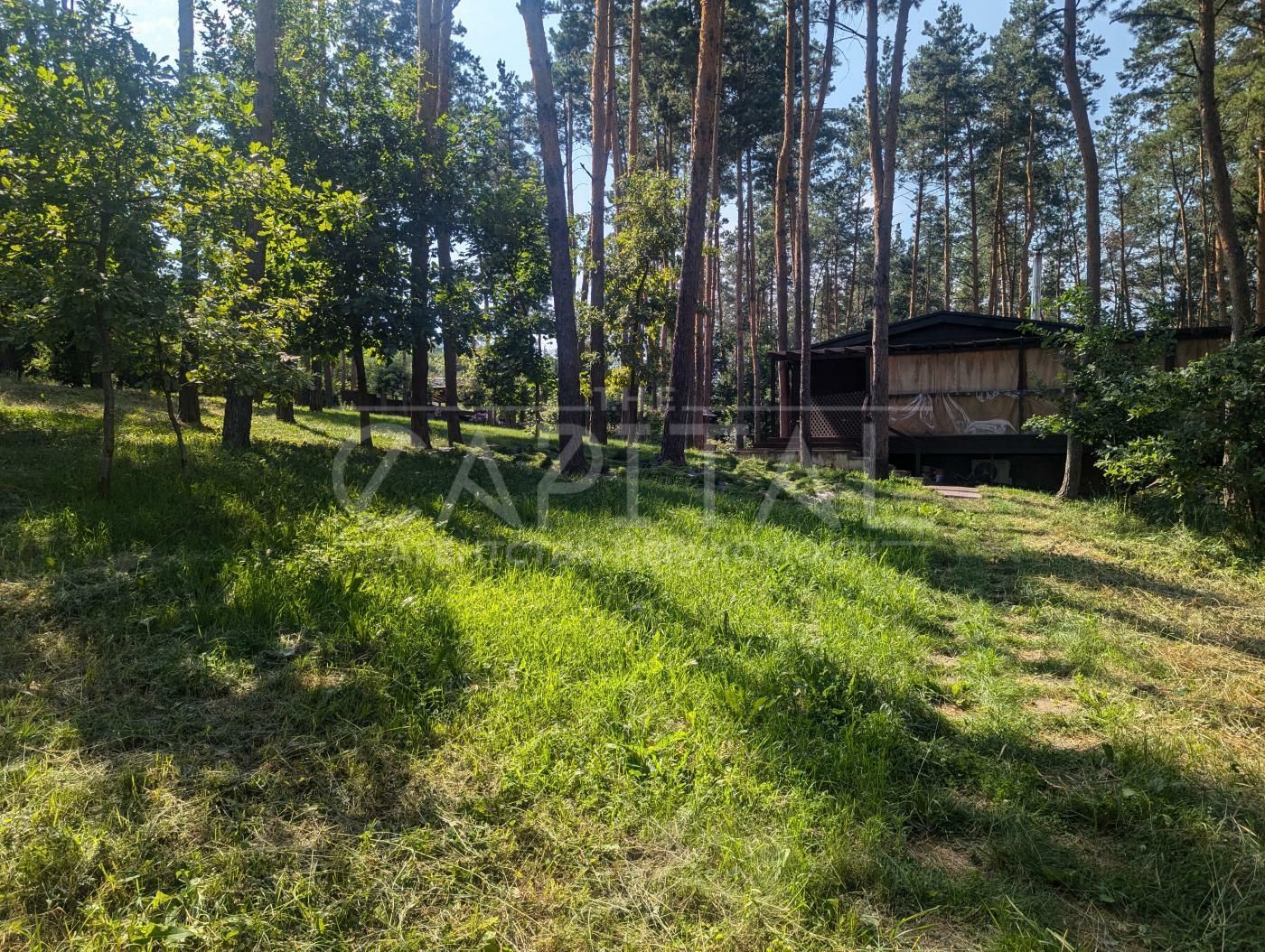 1835006164727634