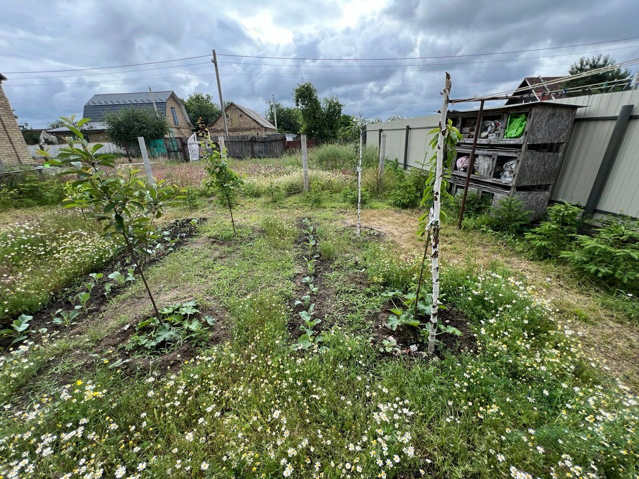 1835190907225639