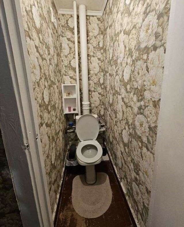 1832578885094649
