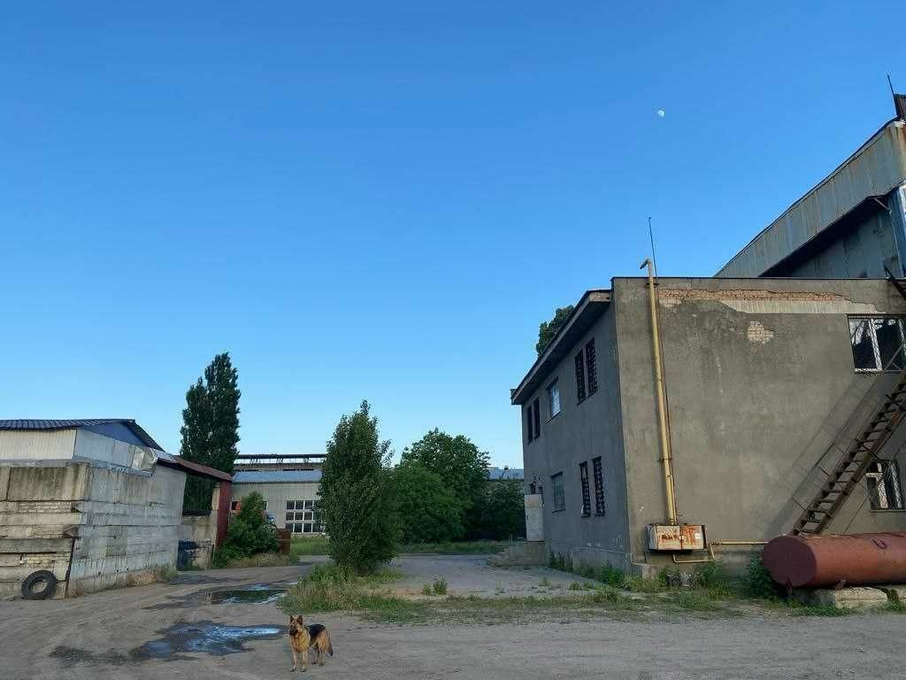 1813172950740651