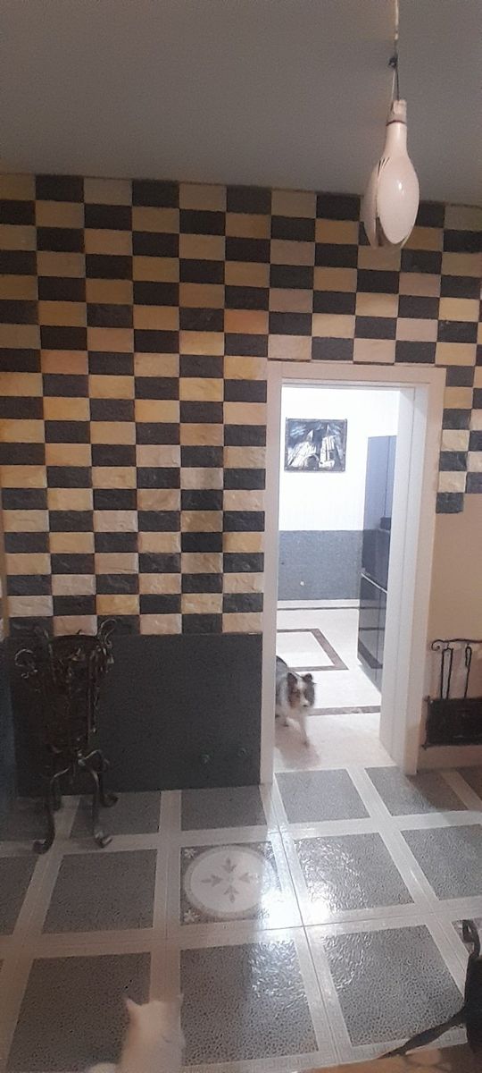 1838003948305651