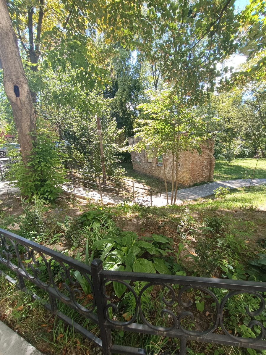 1807381158485654