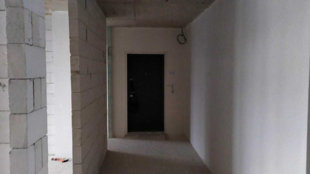 1831359556779667