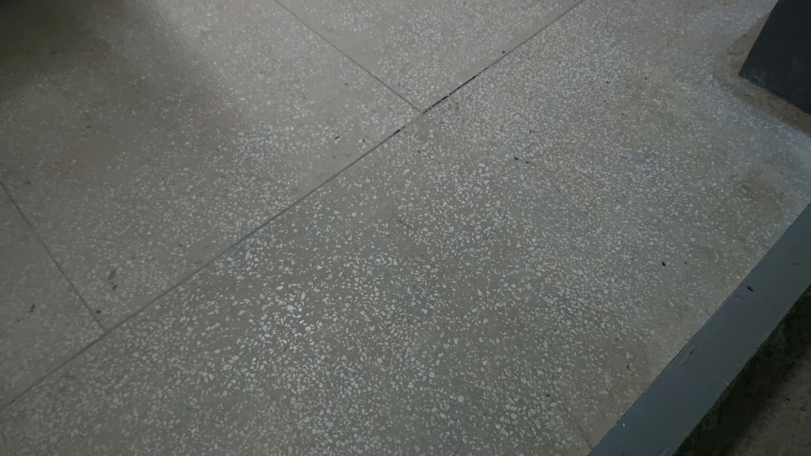 1830461372403067