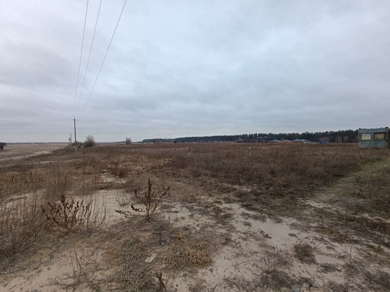 1831905428010675