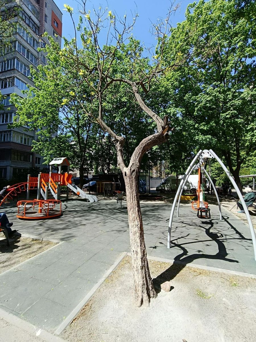 1831535062004677