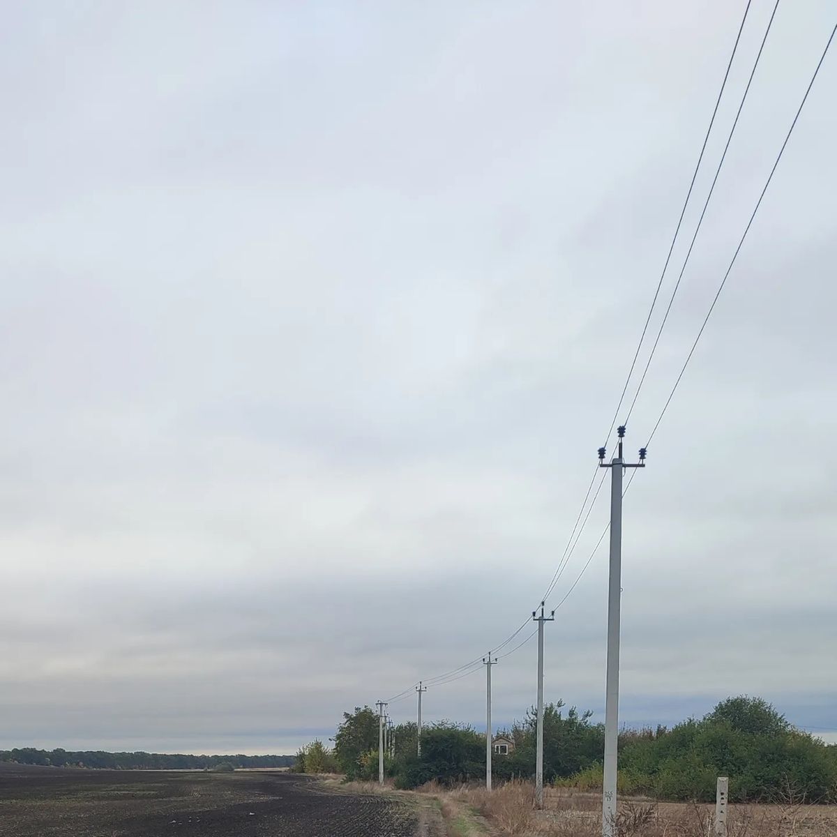 1835928559072068