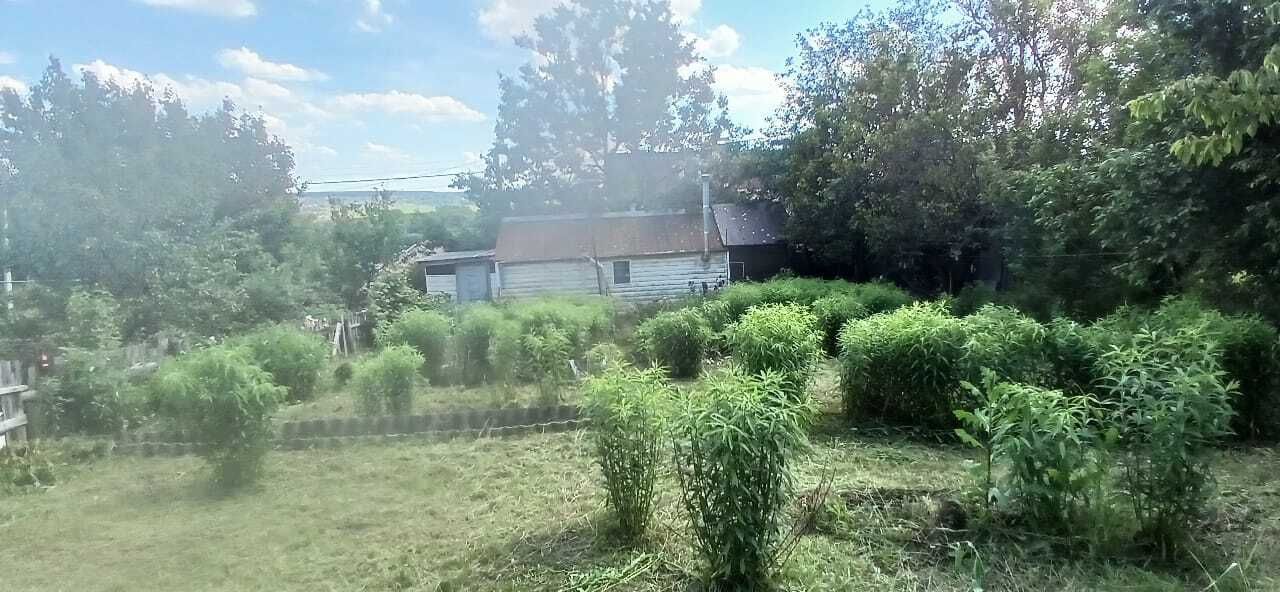 1834454846400680