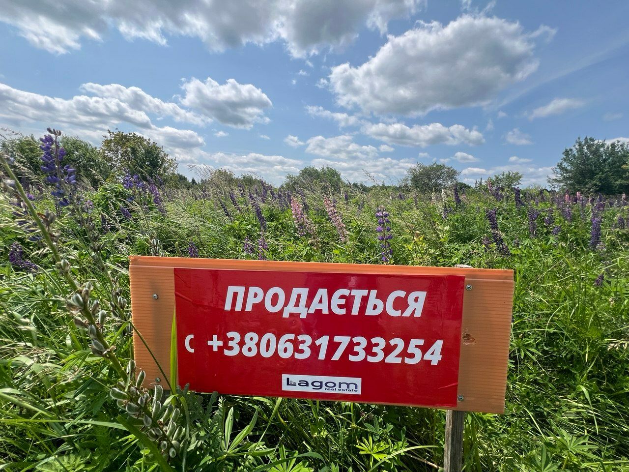 1835089342041683