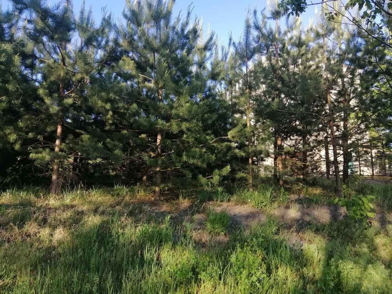 1767333677526703
