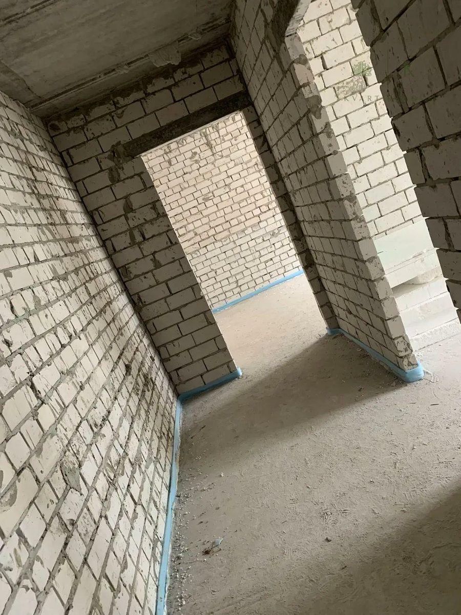 1827455132585704.jpg