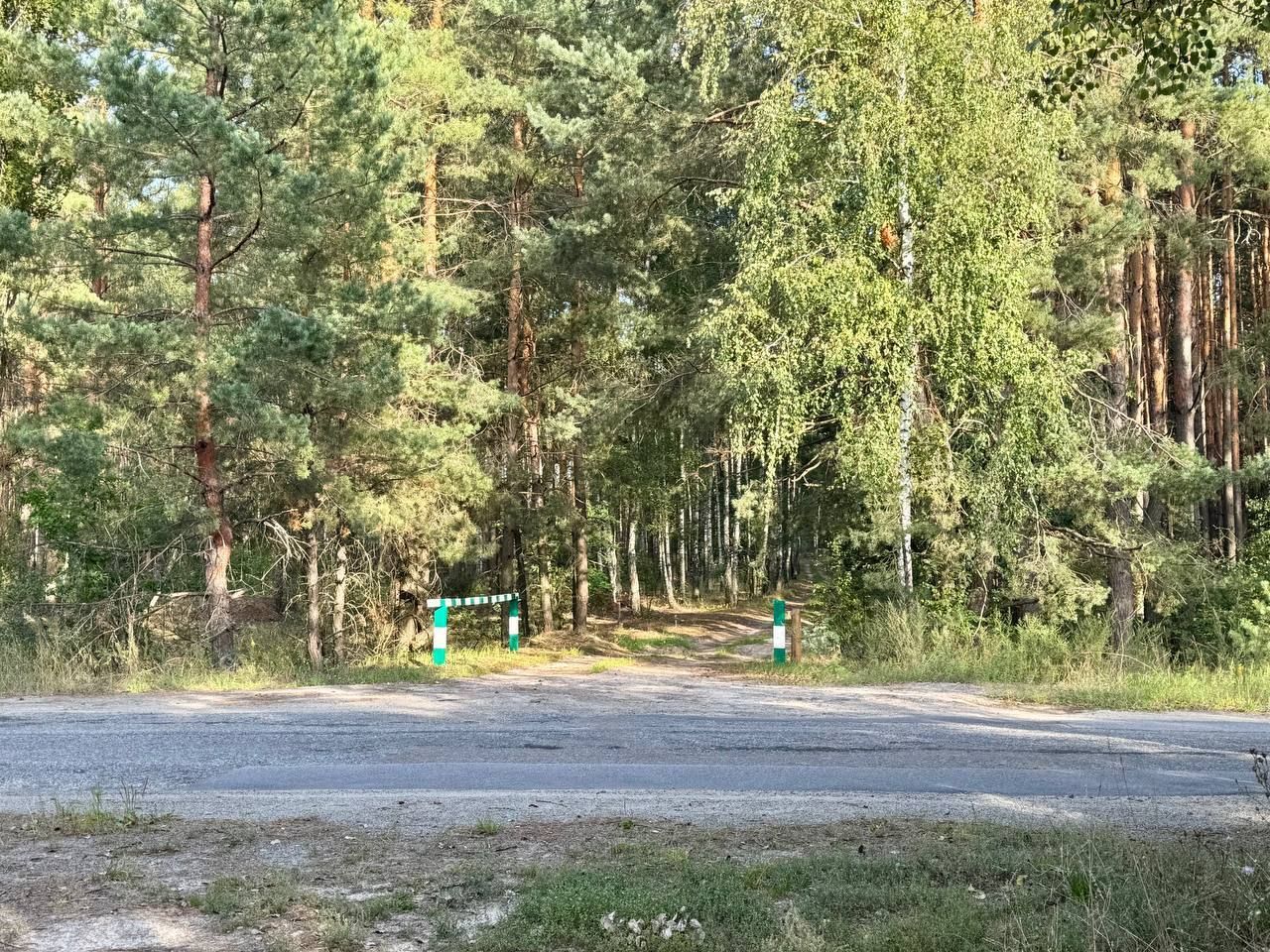 1841776984852711