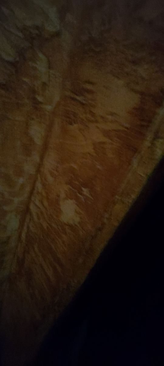 1833906118733713
