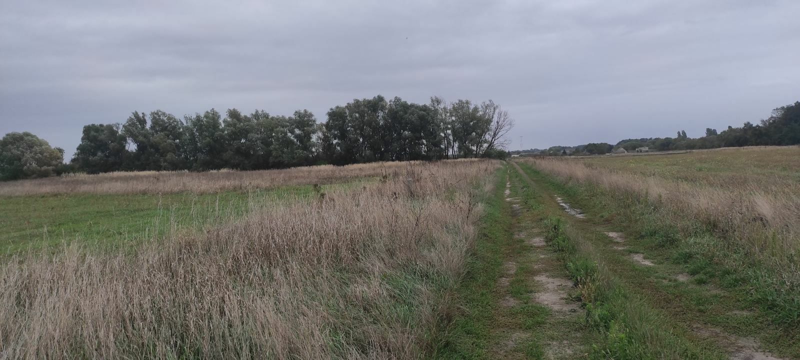 1814973950832072