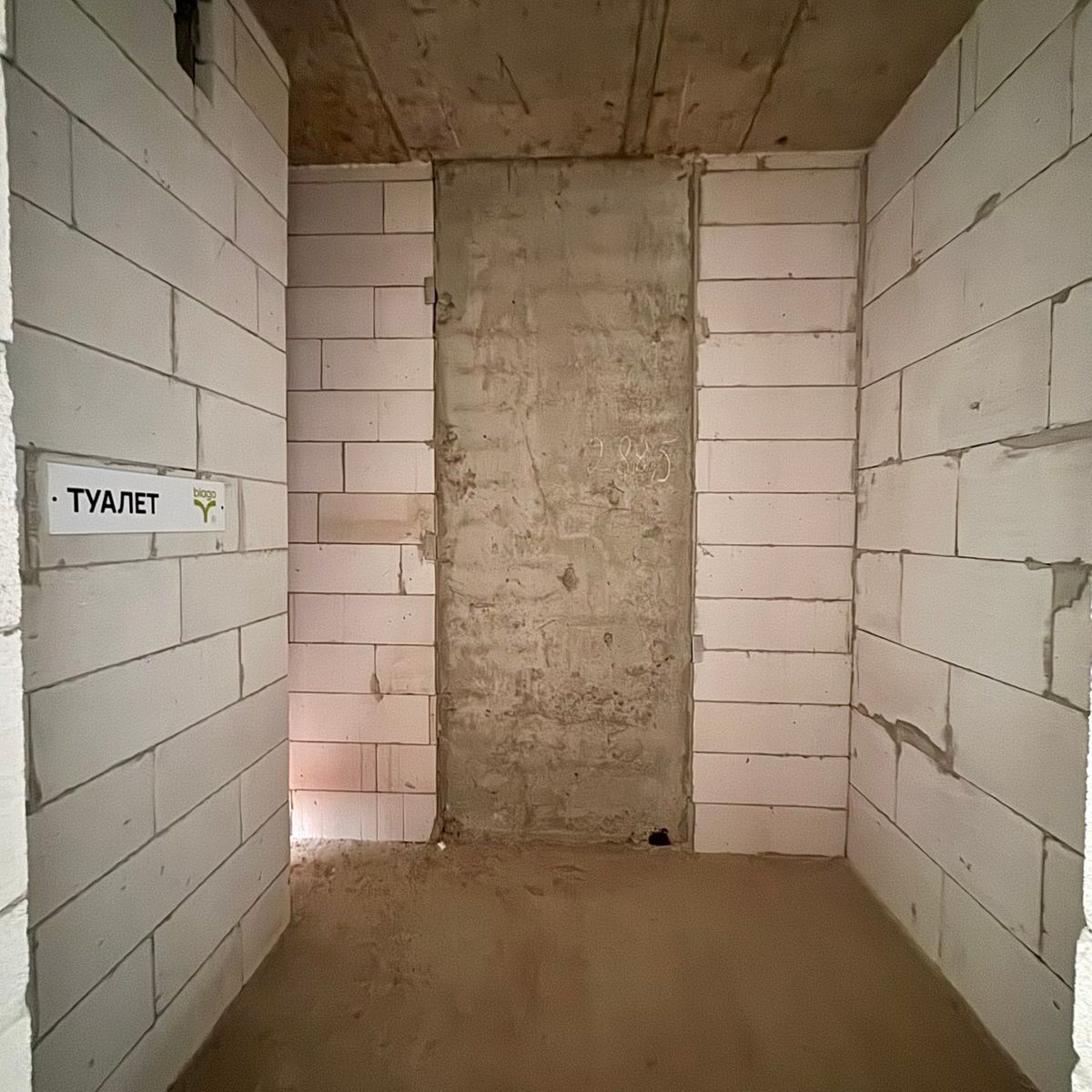 1833165718063724