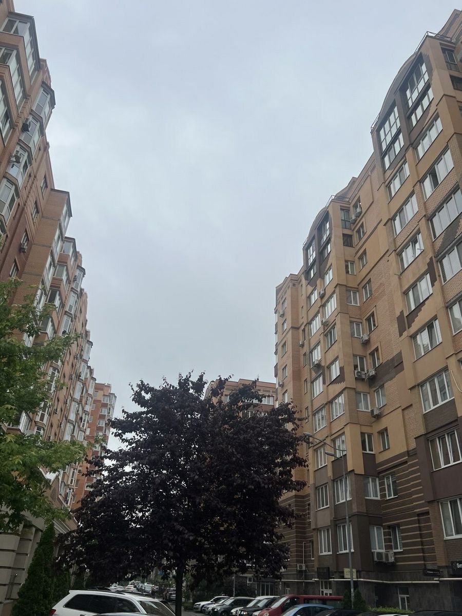 1833170397864729