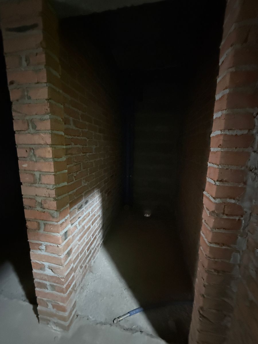 1833907450653729