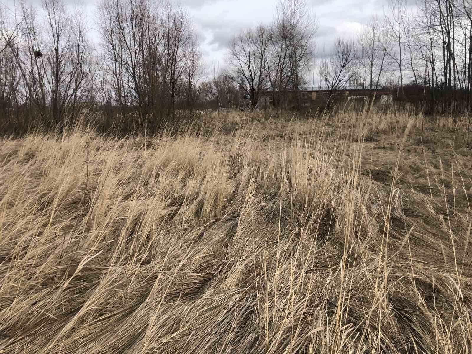 1811367765214073