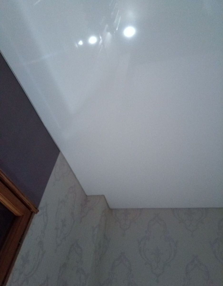 1831828404988734