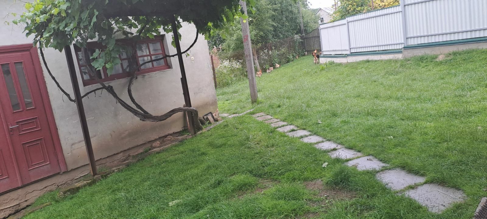 1833819450930734