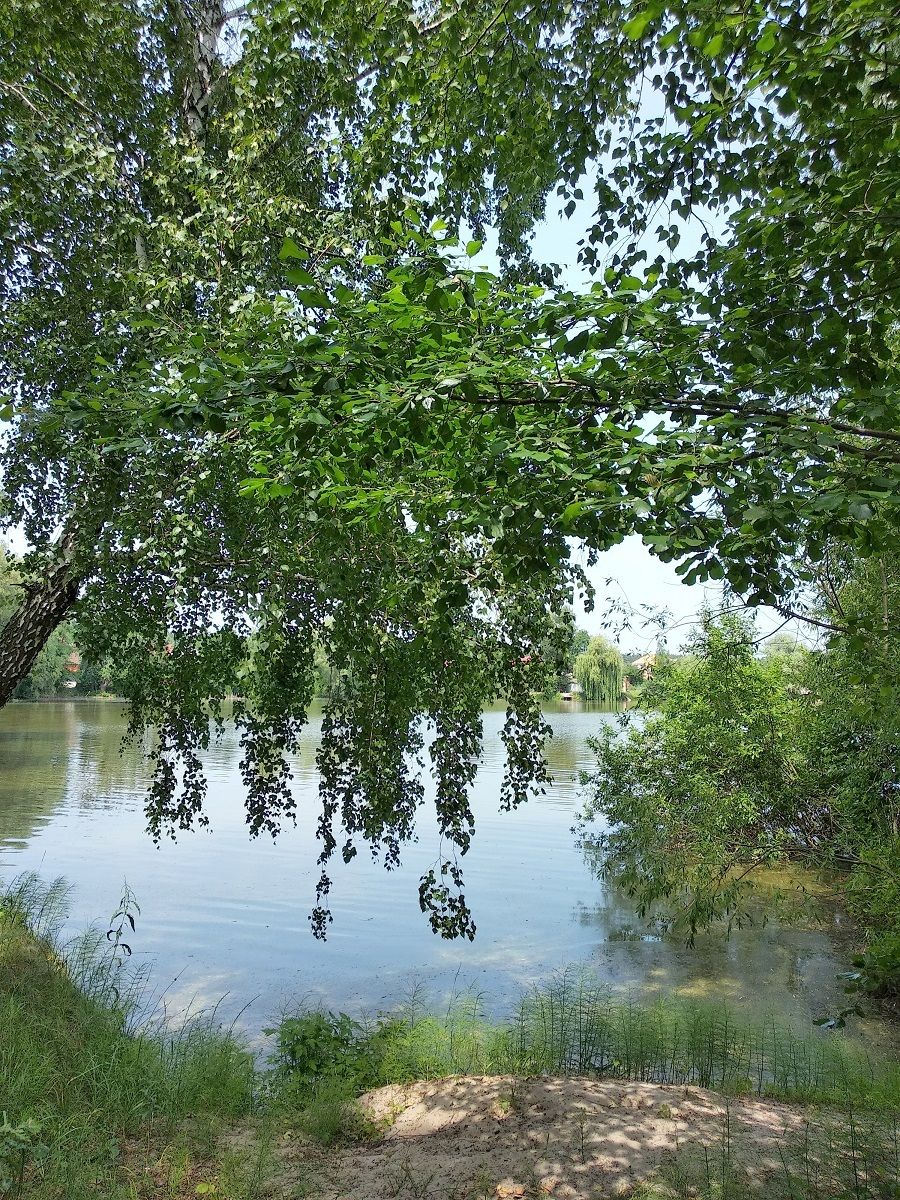1835270207273745