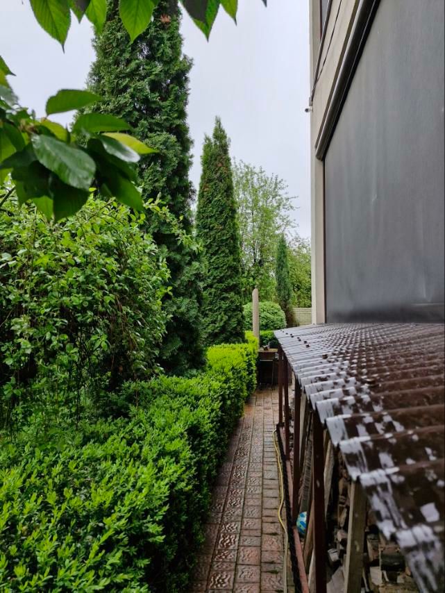 1832812990871753