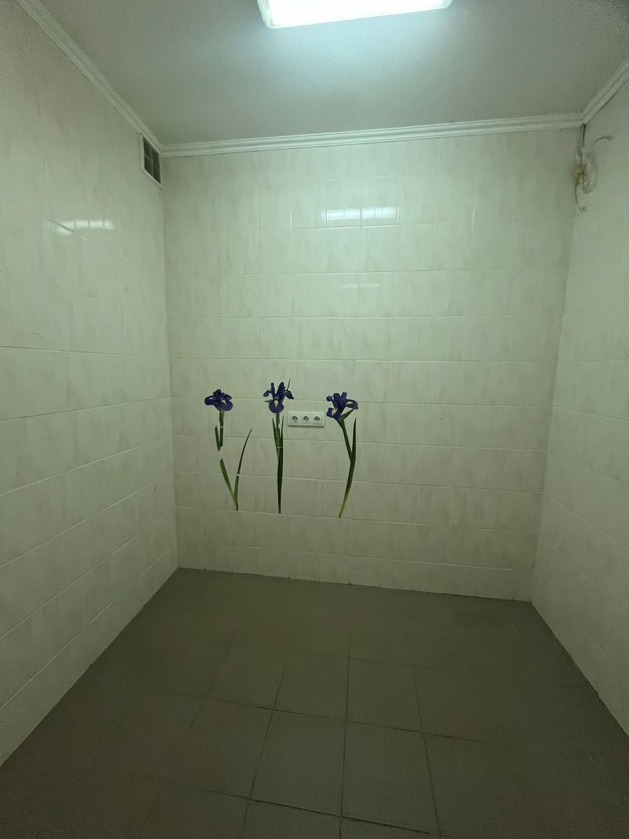 1832816617733755