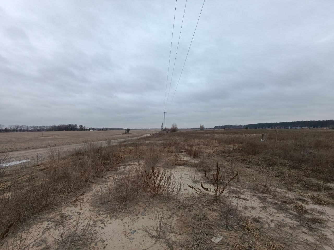 1831905424327076