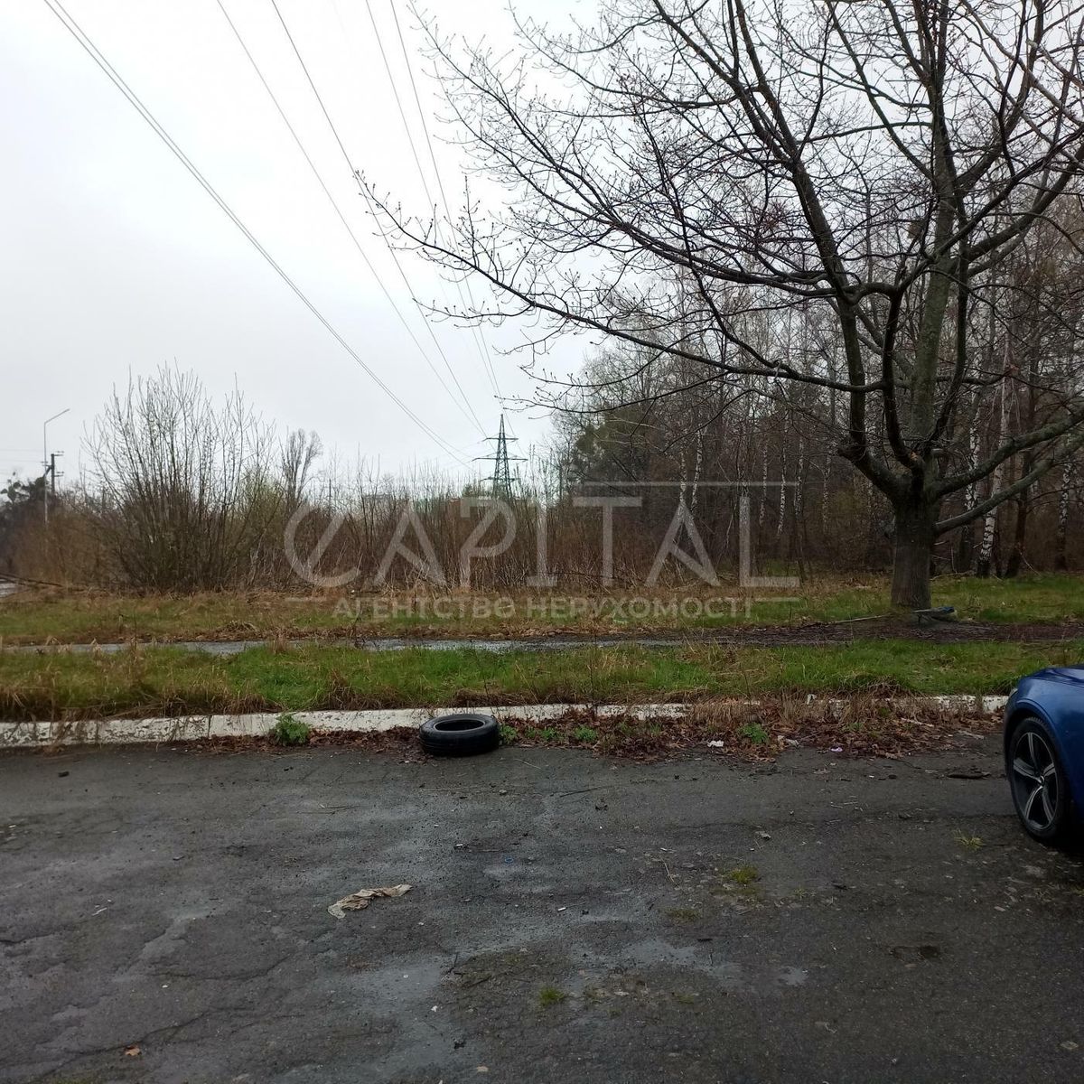 1834725261889761