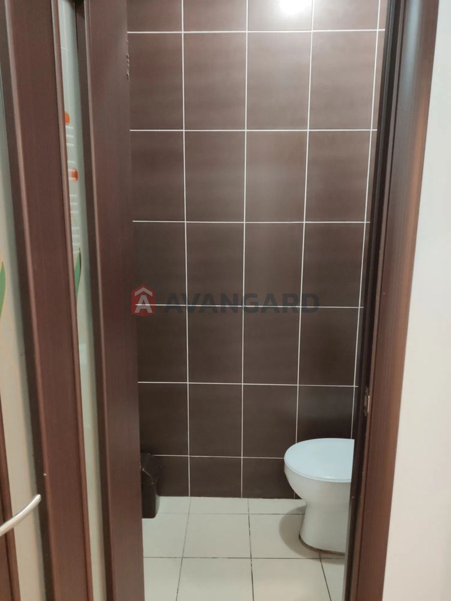 1835995836036764.jpg