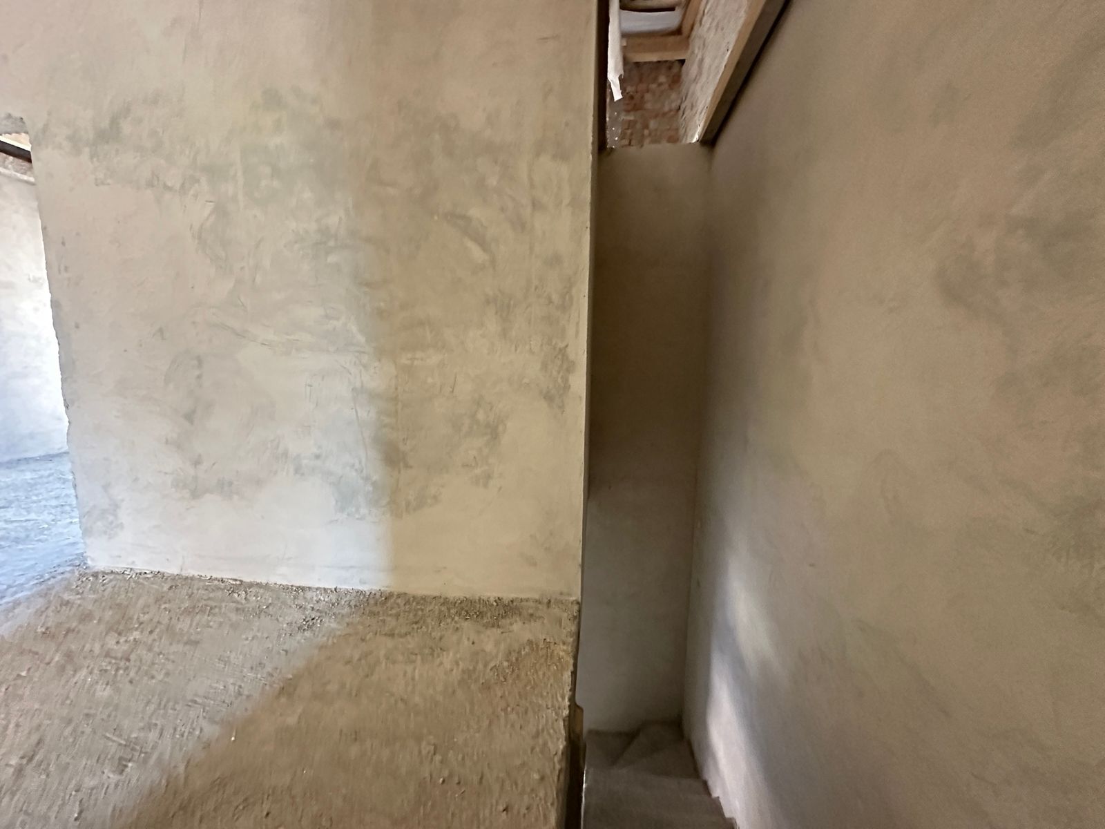 1830720453004769